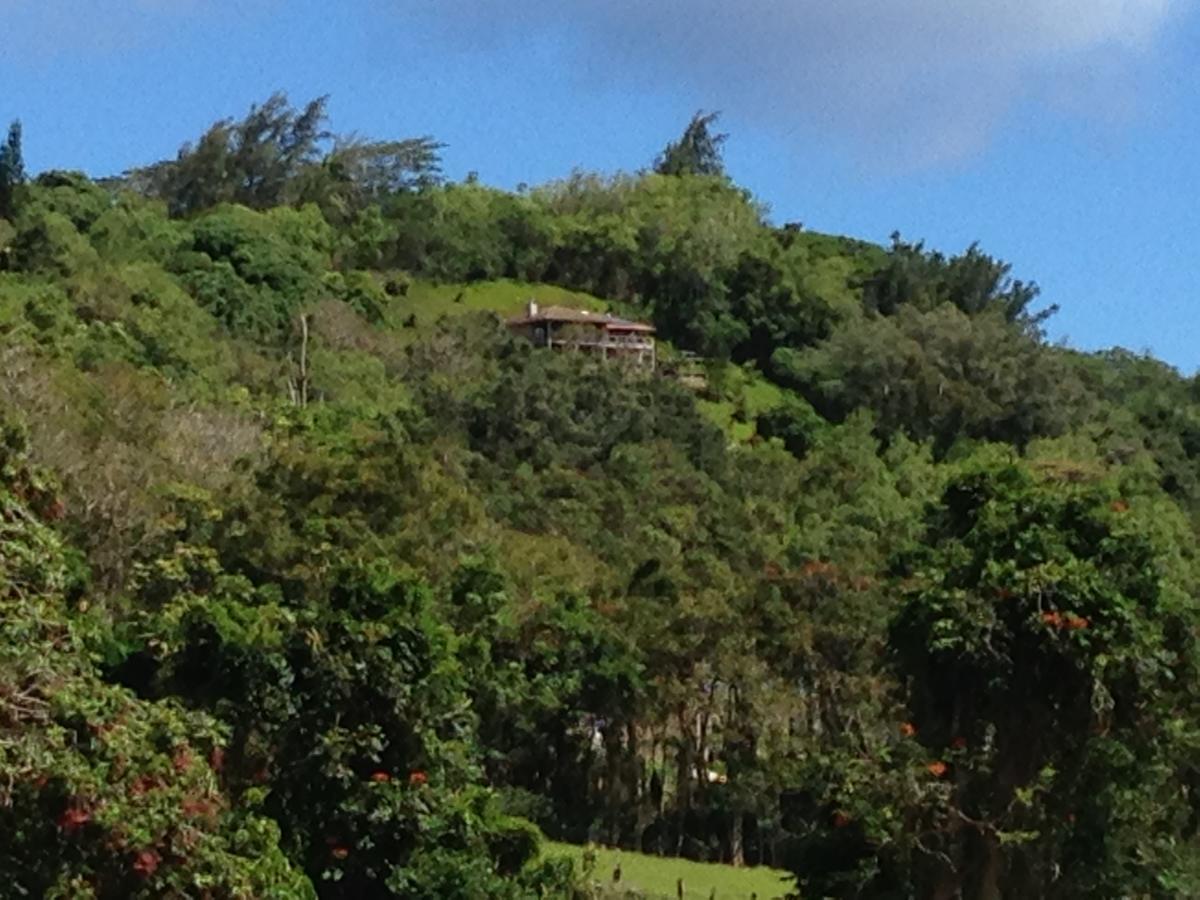 Marjorie'S Kauai Inn Lawai Buitenkant foto